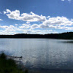 Meet your Posher, Marta